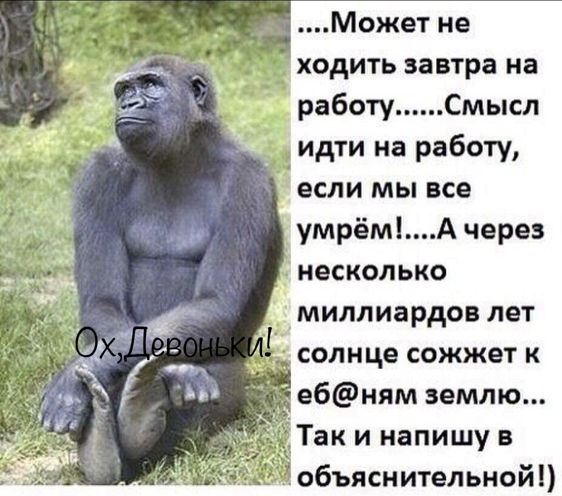 Приколы с работой