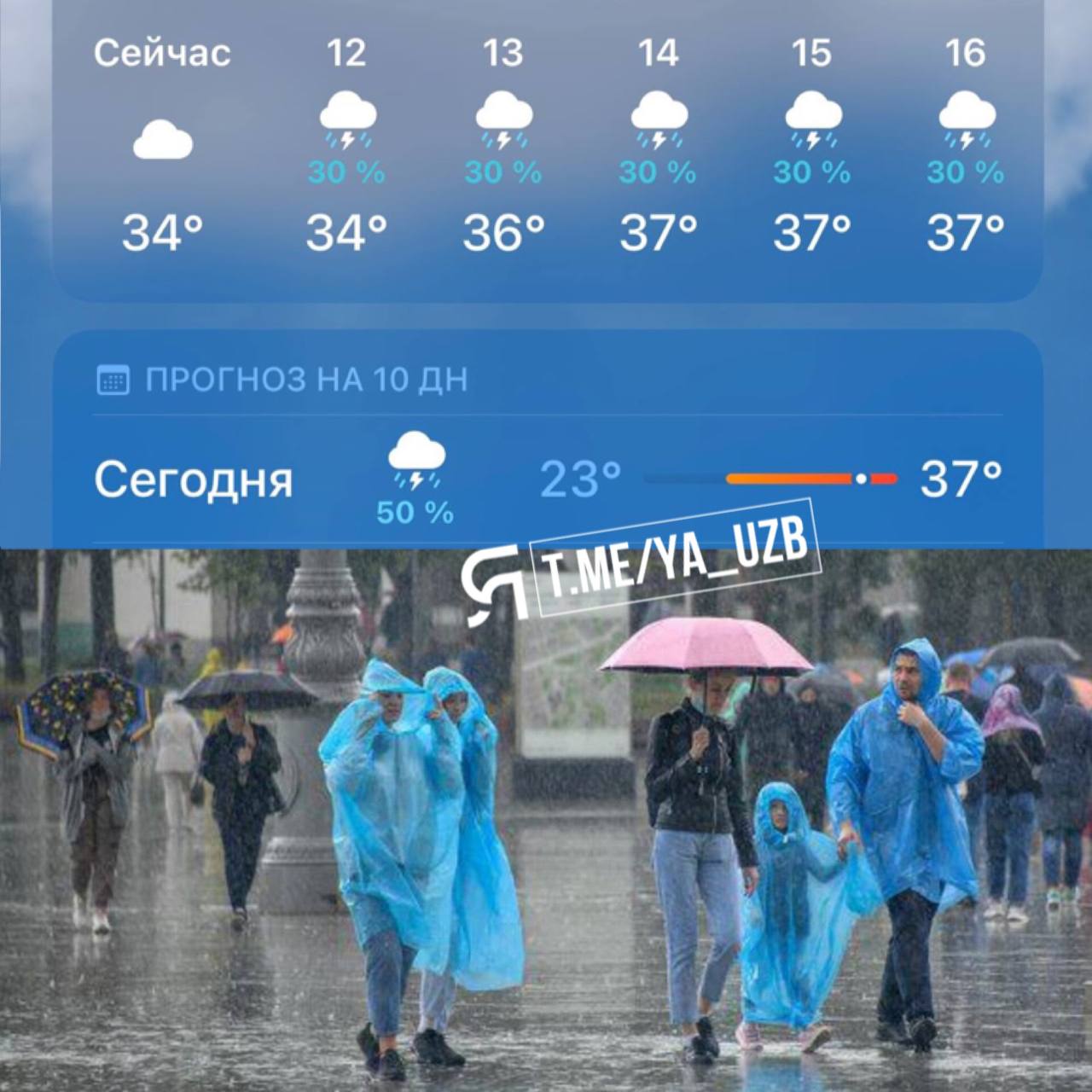 Жара в Ташкенте 60 градусов. Дождик будет. Возможно будет дождь. Температура в Ташкенте сегодня.