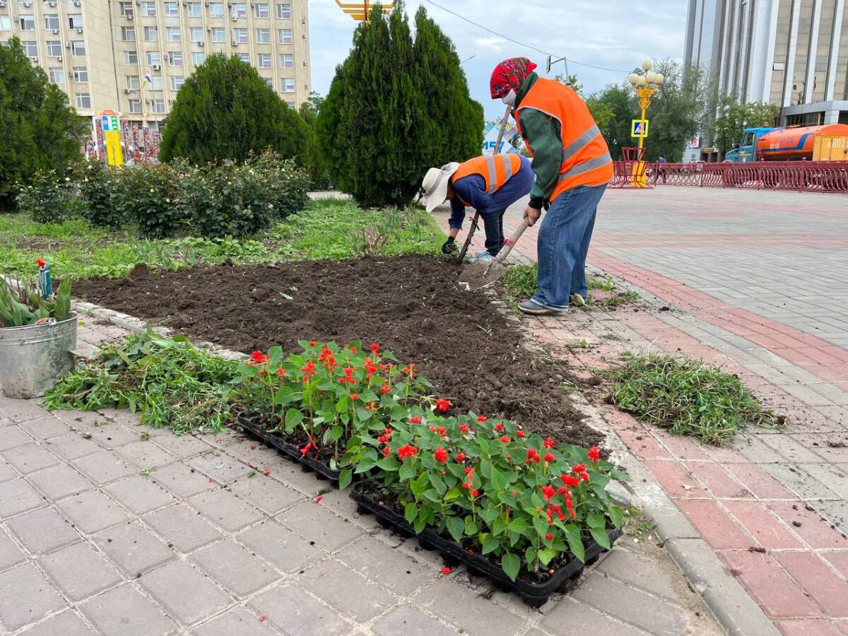 Зеленое хозяйство