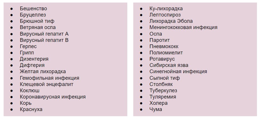 Infodocs srs kg