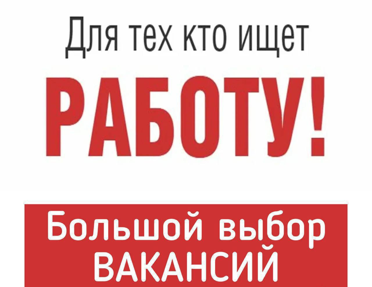 Найти Работу По Фото