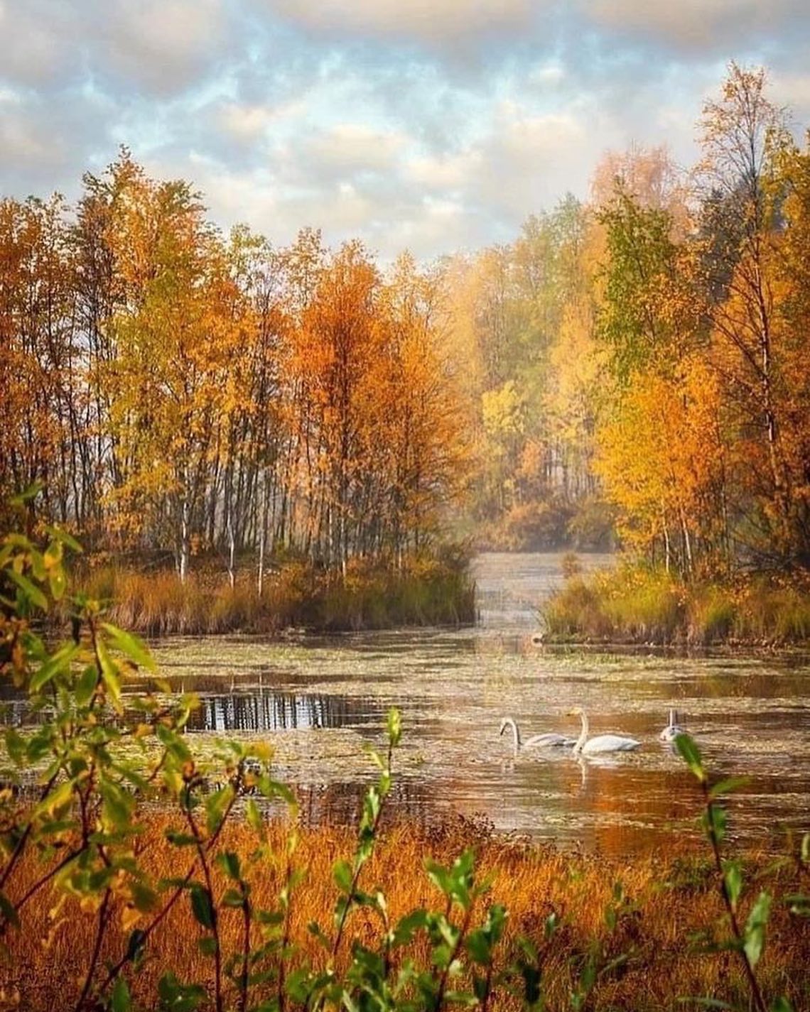 пицца алексеевская роща балашиха фото 41