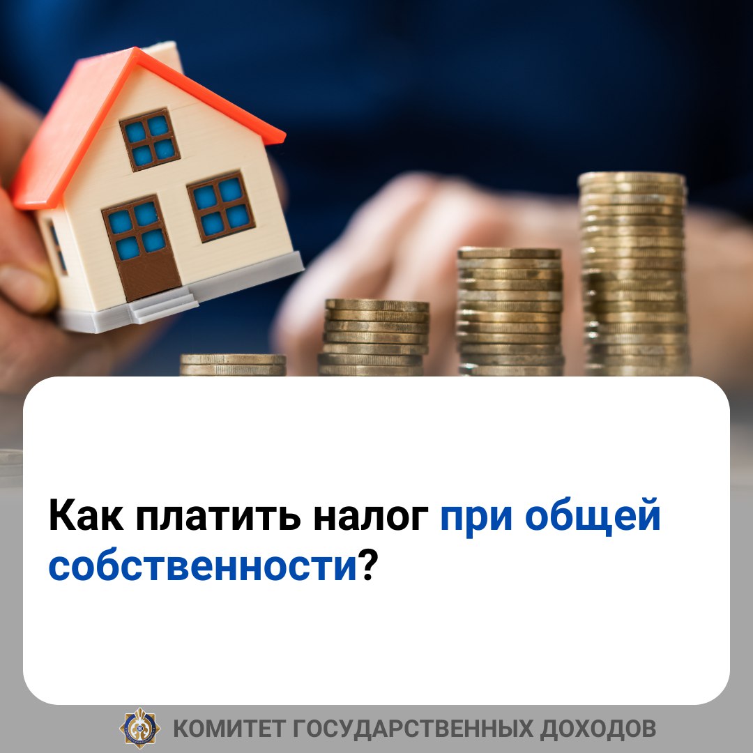 распределение части доходов кооператива между членами кооператива фото 83