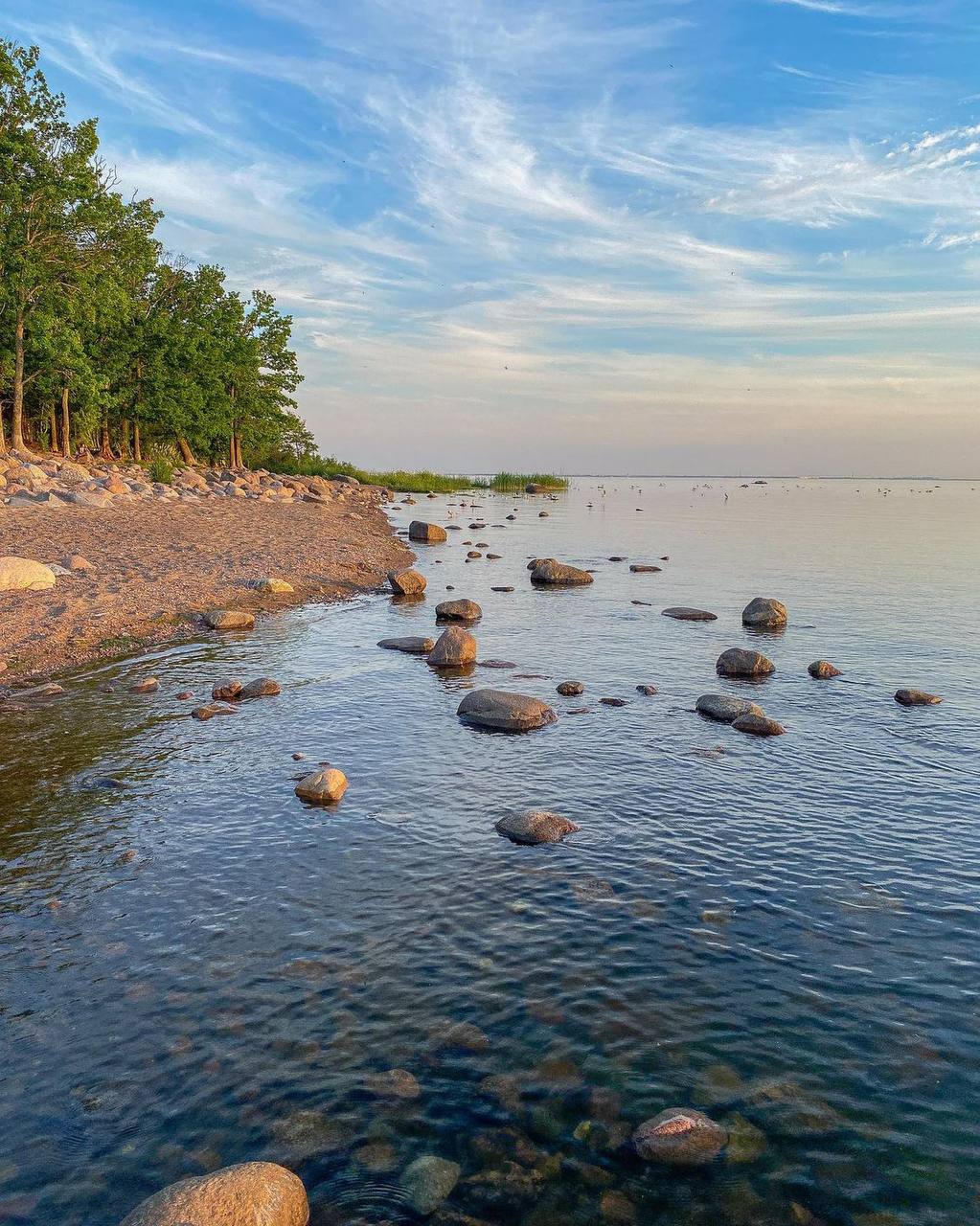 пляж морские дубки в лисьем носу