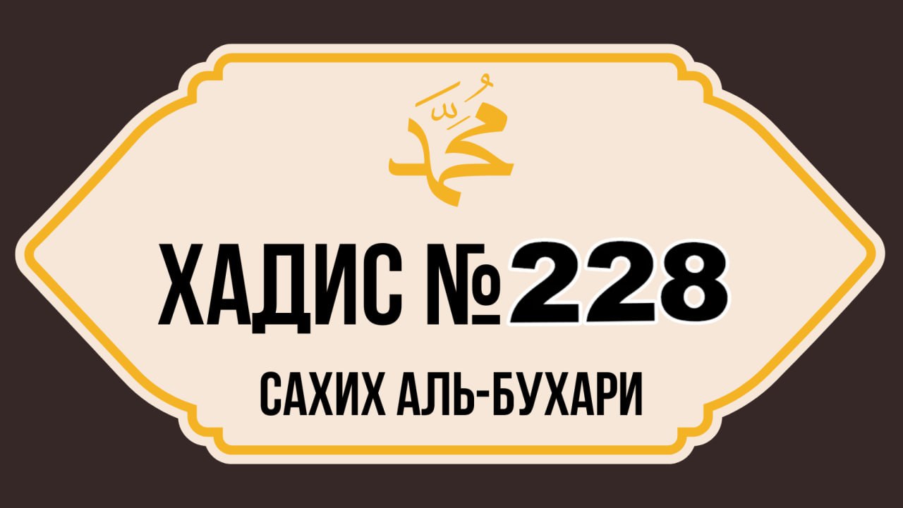 Сборник Сахих Аль Бухари. Хадисы Аль Бухари. Сахих Аль-Бухари хадисы. Сахих Аль Бухари на арабском.