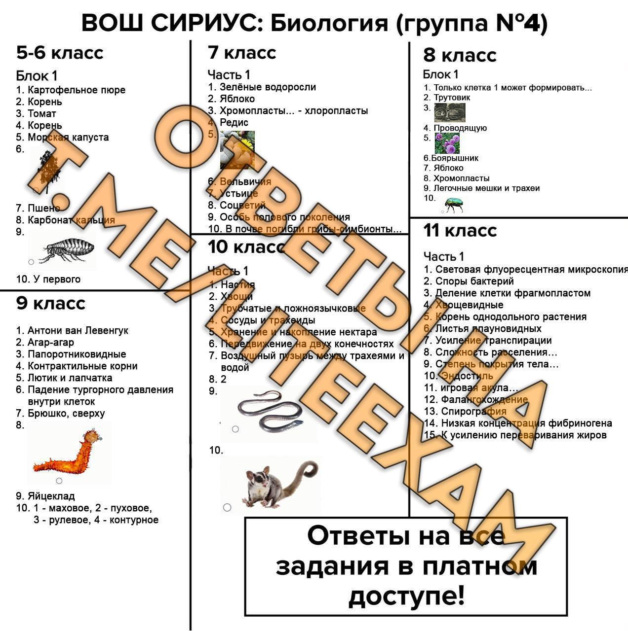 Публикация #2016 — LITEEXAM 2024 | ОТВЕТЫ (SXTTcvzti6Y2MjFi)