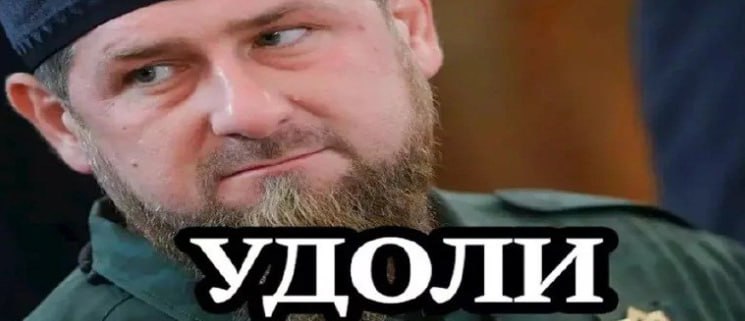 Удоли мем