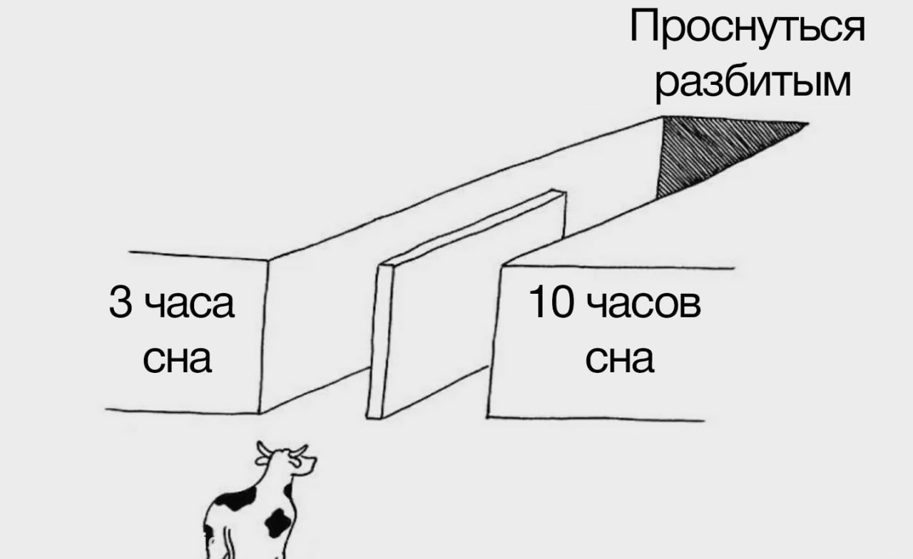 как на самом деле их <b>выбор</b> может быть подвержен влиянию множества внешних ф...