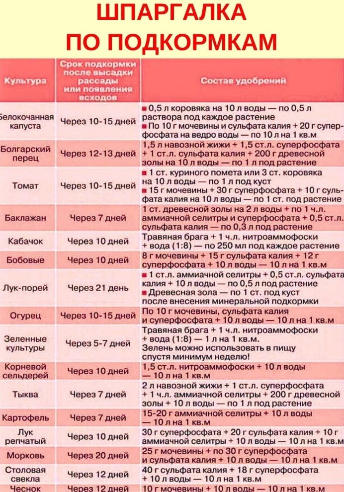 Опишите технику и технологическую схему полива овощных культур