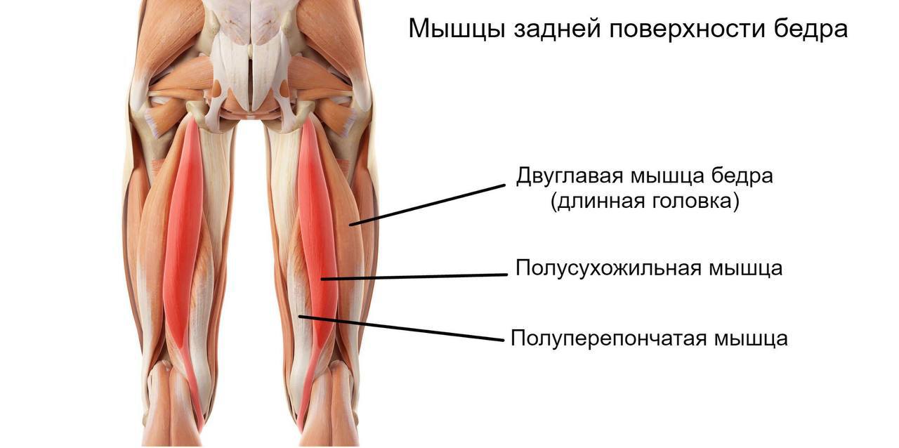 Растяжка подколенного сухожилия стоя