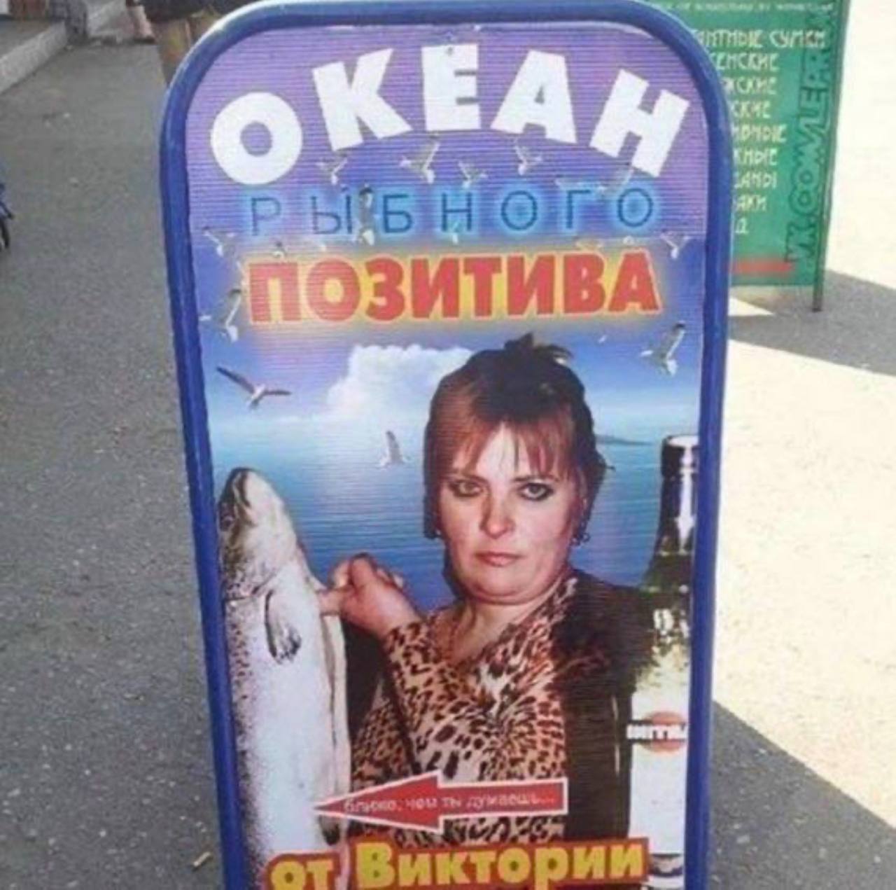 Смешные Картинки Вики