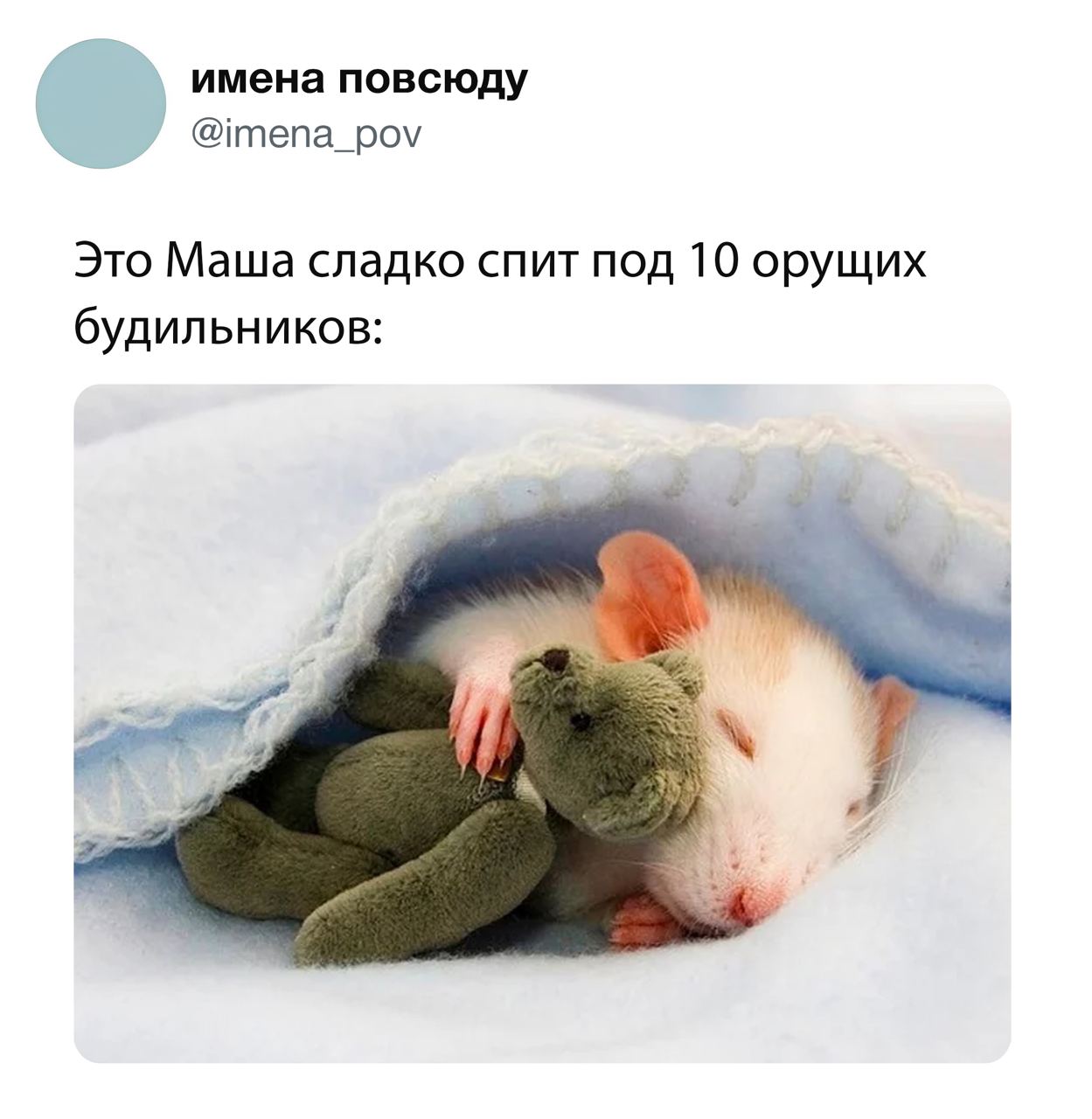 Волшебный хомячок для сна видео. Сладкие крыски спят. Спящие крыски Минимализм.