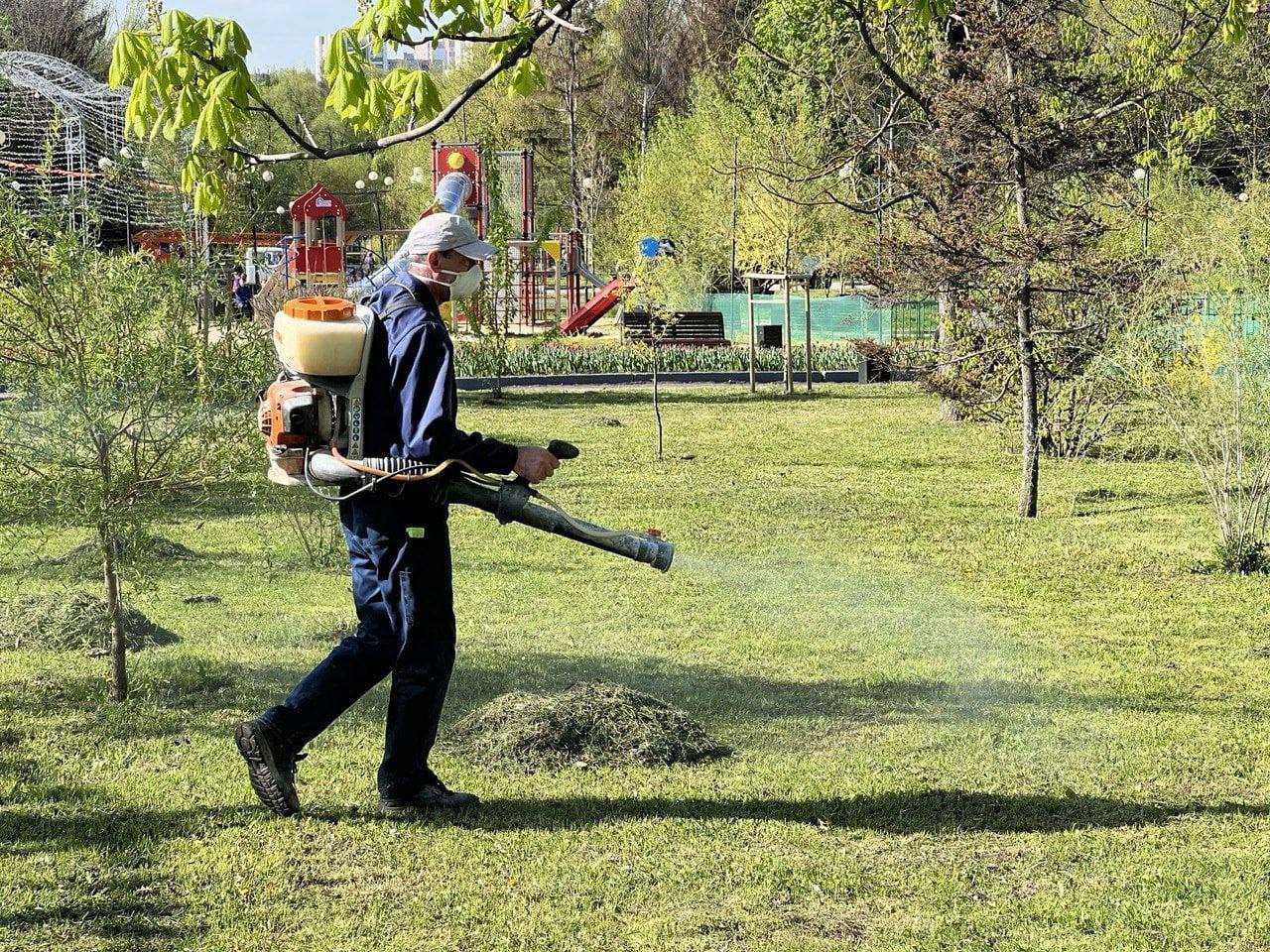 фото рейнджера в парке белгород