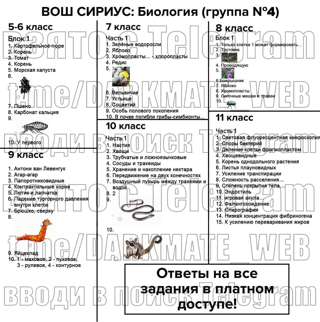 Сириус математика результаты 2023