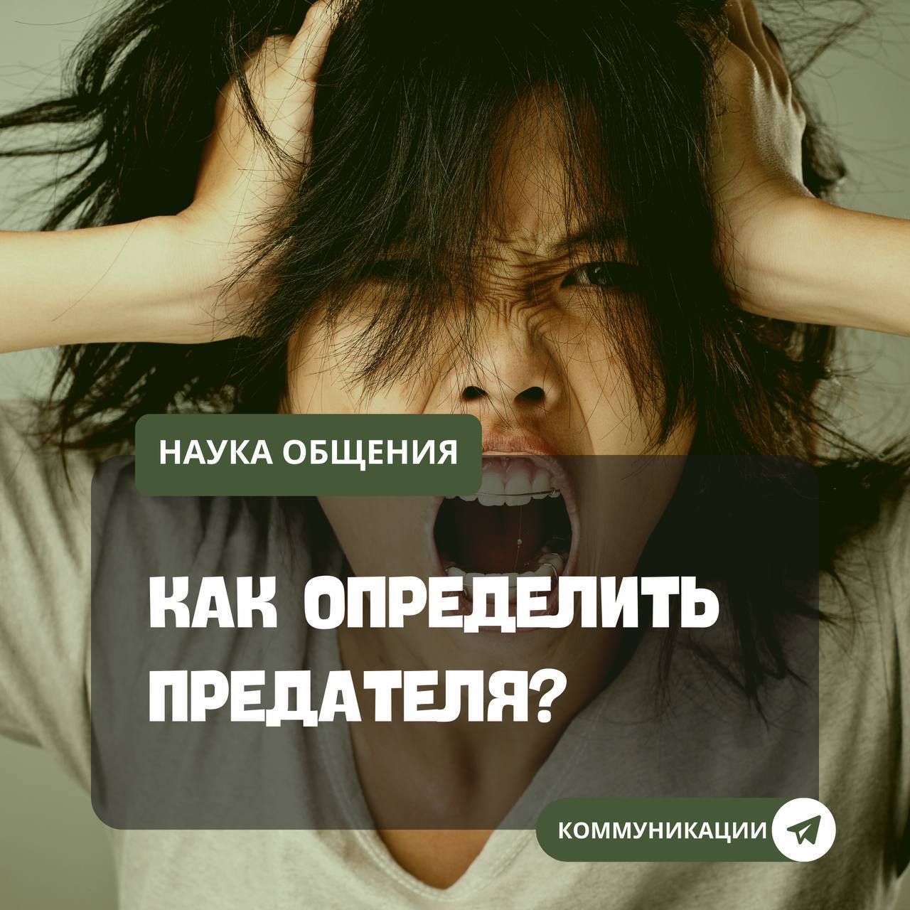 Выявить предателя. Выявить предателя. Выявить предателя. Предателей и паникеров. Предатели родины.