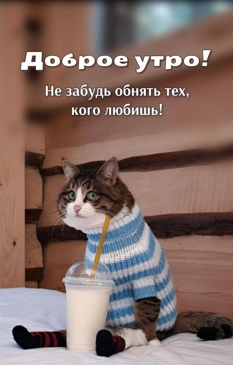 Доброе утро с милыми животными