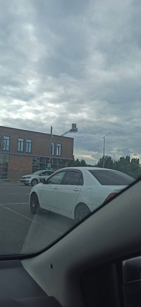 жесть белгородской