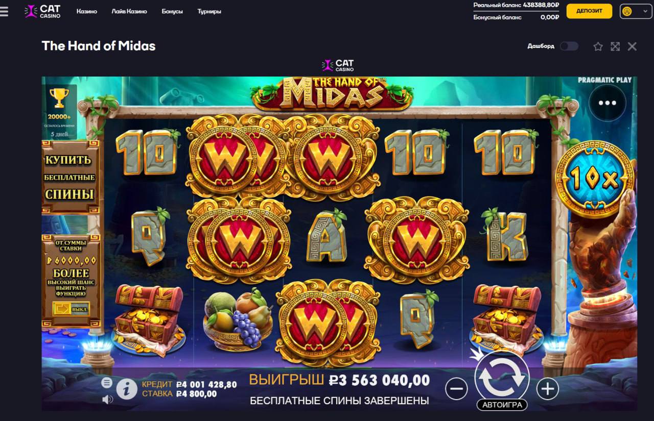Cat casino catcasino realmoney net ru