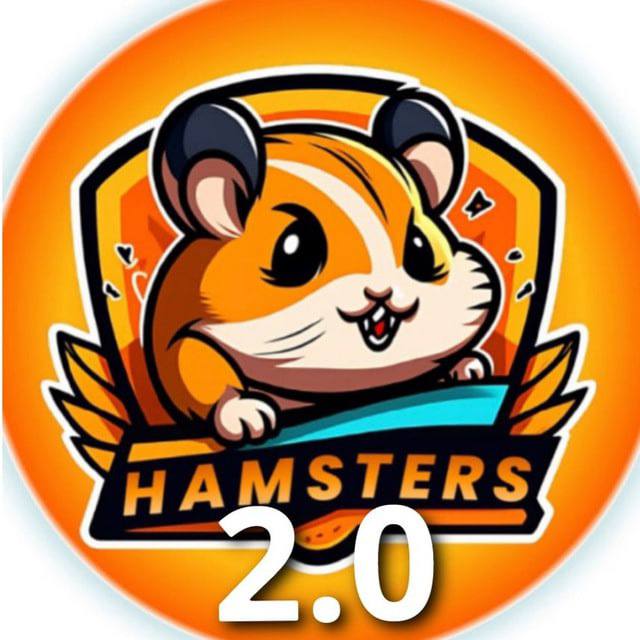 Криптобиржа hamster. Курс Hamster. Курс Хамстер. Hamster Coin курс. Курс Хамстер комбат.