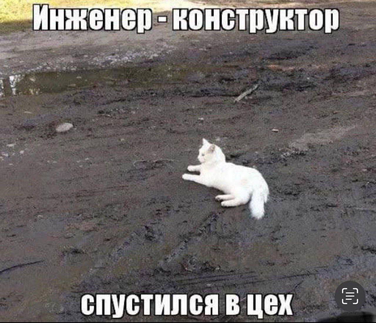 Я уже не с вами. Белый кот из мема. Кот на стройке Мем.