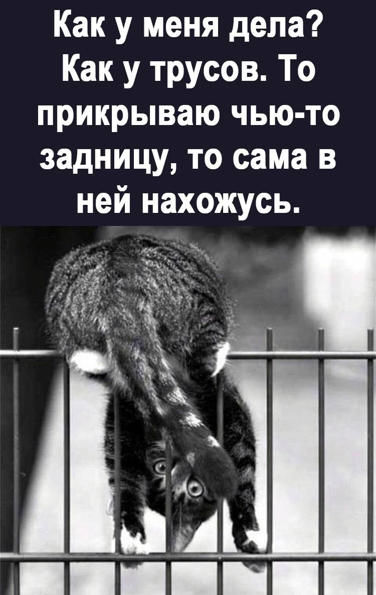 Тёлочки кто хочет свои трусы у меня в машине так повесить. Я сегодня добрый у вас есть хороший шанс фото Тёлочки кто хочет свои трусы у меня в машине так повесить. Я сегодня добрый у вас есть хороший шанс фото