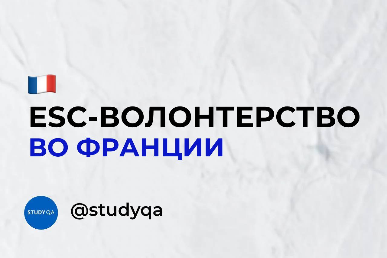 Волонтерство во франции