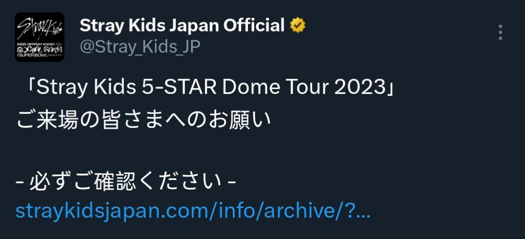 Stray kids dome tour 2023