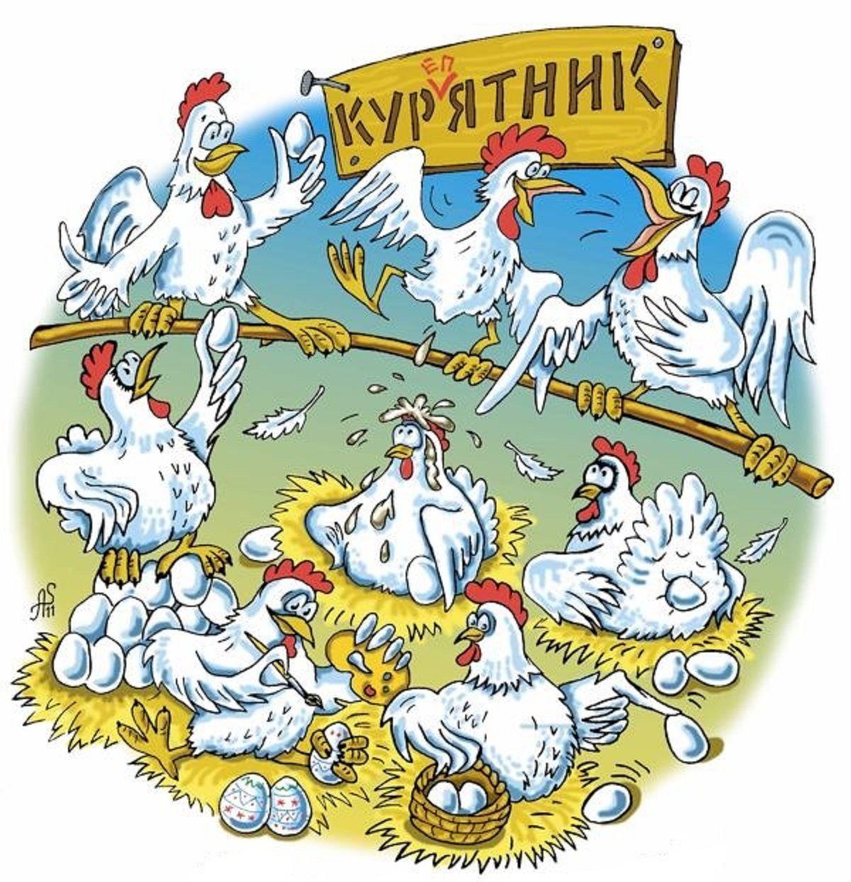 В курятнике картинки