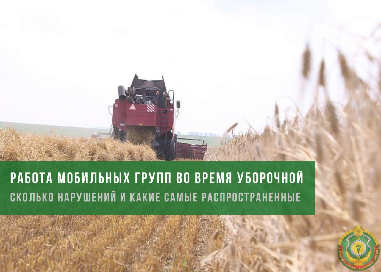 При уборке урожая обнаружили. Животноводство Курганской области. Агропромышленный комплекс. Скотоводств* Курганской области. Государственная поддержка АПК.
