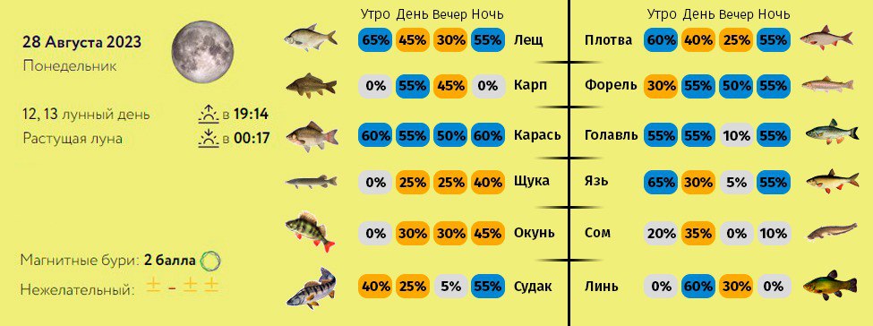 Прогноз на клев рыбы на каме. Прогноз клева рыбы Дагестан. Календарь клёва рыбы в Костроме на неделю.