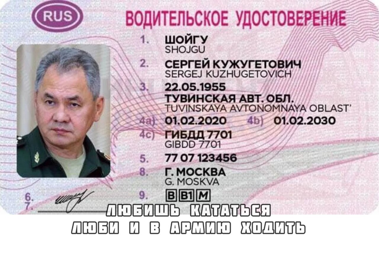 Можно ли проголосовать по водительскому удостоверению. Образец водительского удостоверения 2021 года.