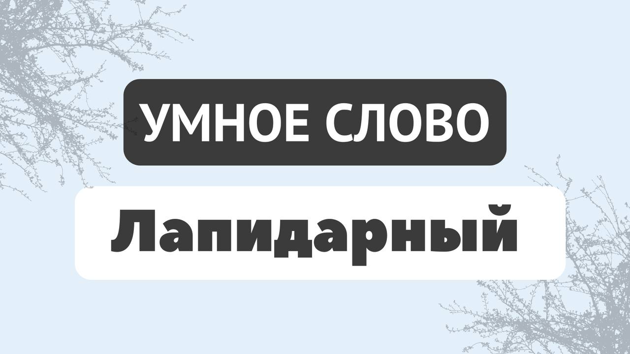 Патологическое накопительство вещей. Накопительство вещей болезнь. Патологическое накопительство вещей. Патологическое накопительство вещей. Патологическое накопительство.