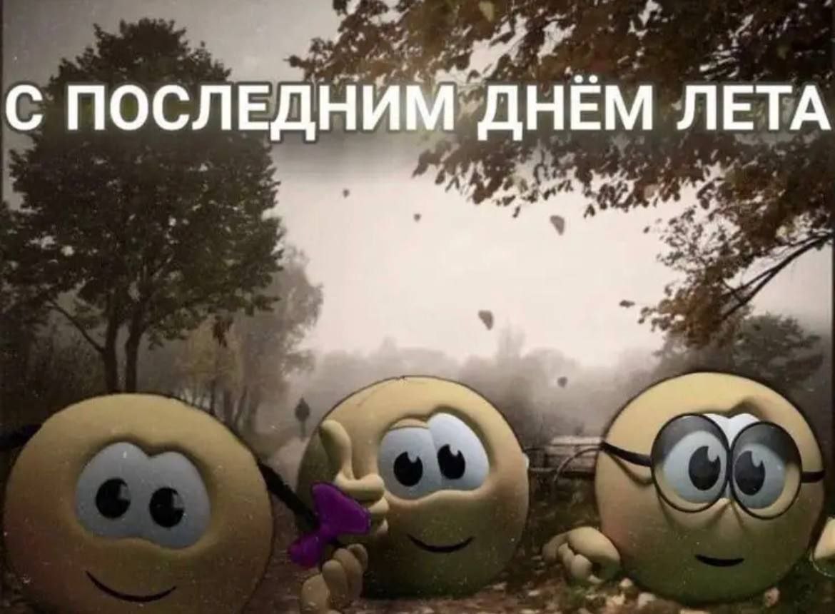 Лето обмануло нас. Последний день лета мемы. Мемы с летом. Мемы про лето. С последним днём лёта Мем.