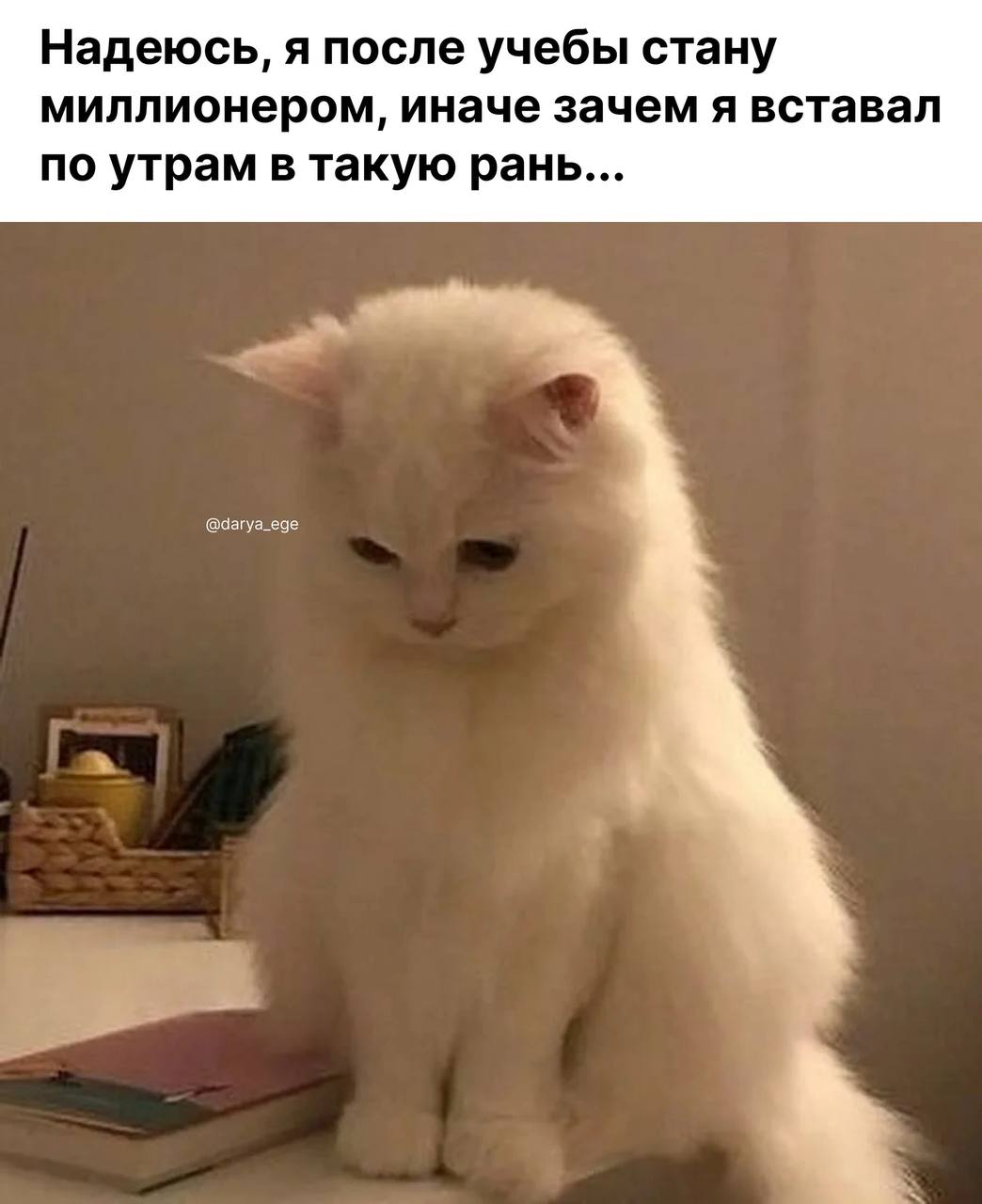 Ха ага неуловимый. Ха ага неуловимый