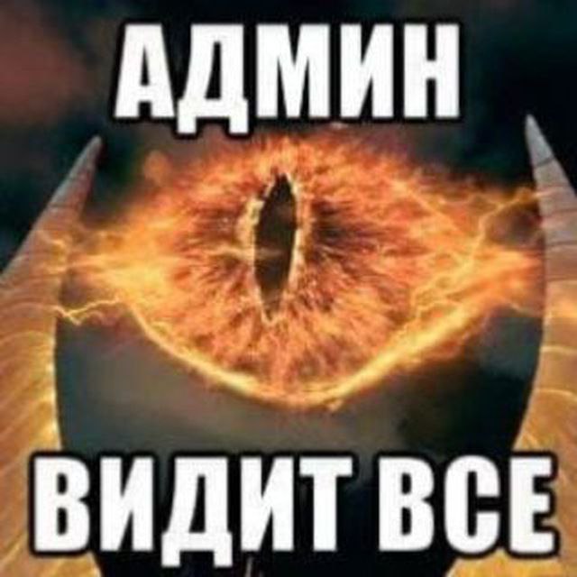 Шоппинг юмор. Я все вижу. Где они меня все видели. Как видят мир кошки. Я вас вижу.