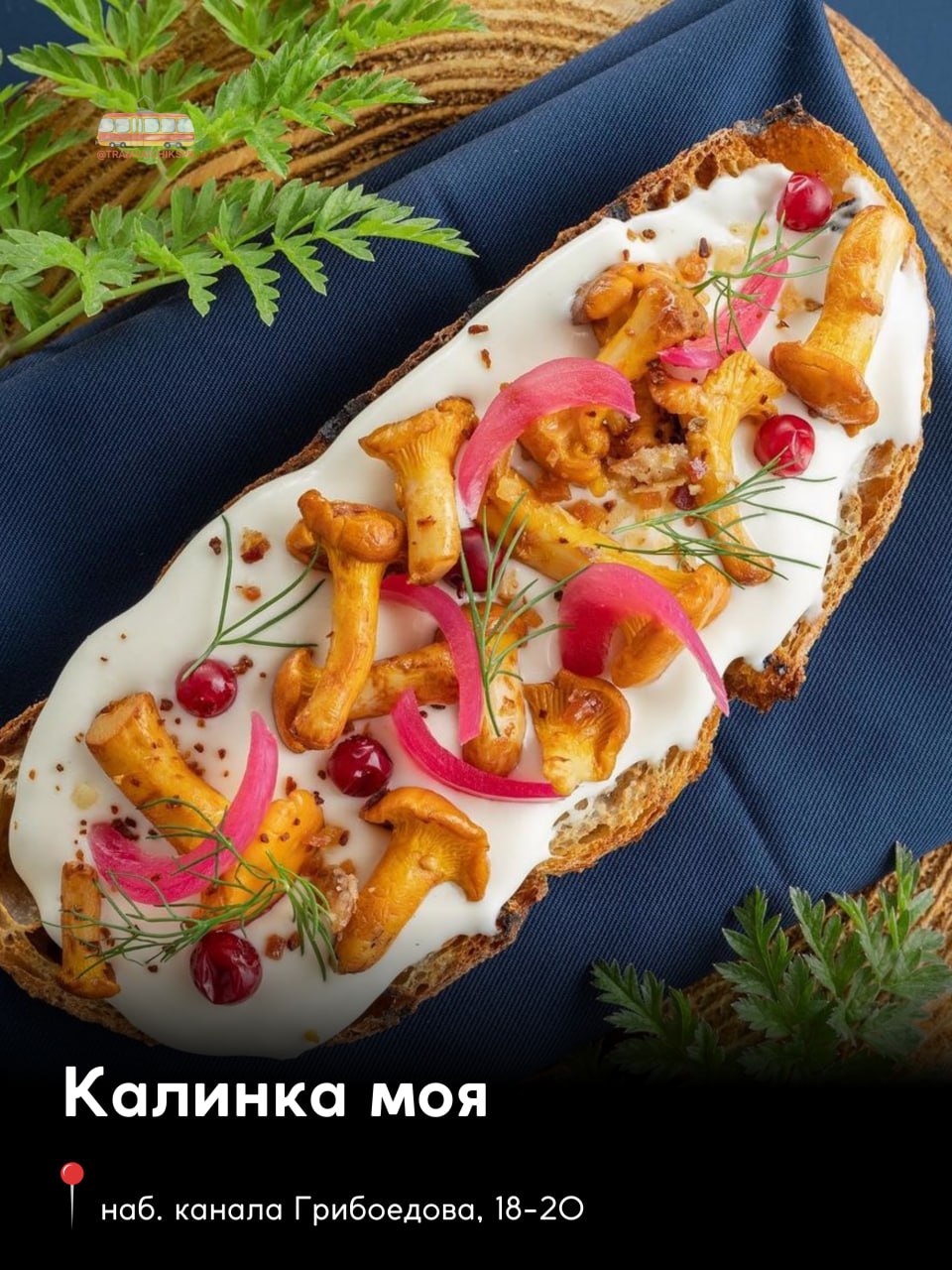 Вкусный петербург