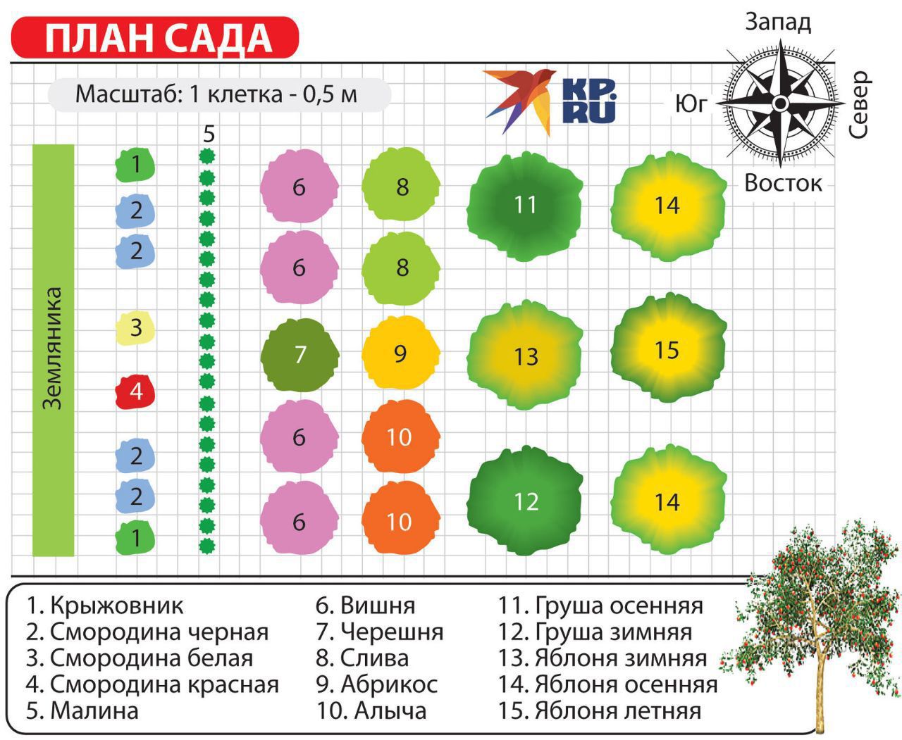 Грядки расположение по сторонам