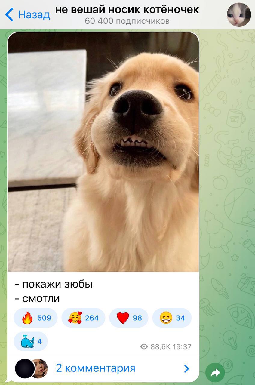 Дмитрий стешин русский тарантас телеграмм фото 49
