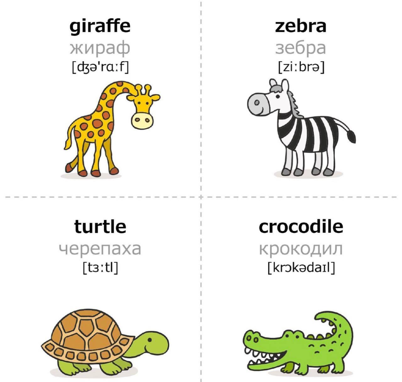 Adjectives to describe animals