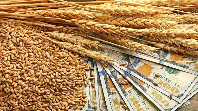 Кукуруза, пшеница отгрузки. Зерно Кыргызстана. Понты отгрузок пшеницы Россия. Пшеница цена в Киргизии.